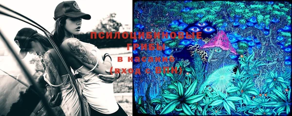 таблы Алексеевка