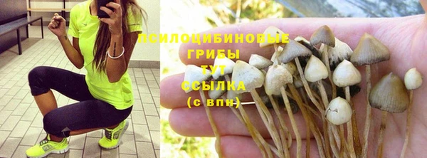 тгк Пестово
