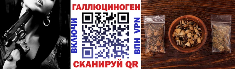 магазин продажи   Куса  Псилоцибиновые грибы мухоморы 
